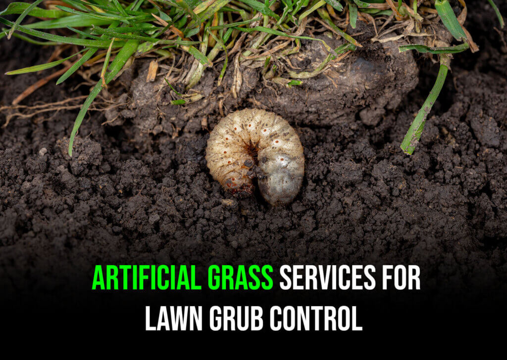 Artificial Grass Services in Santa Cruz for Lawn Grub Control