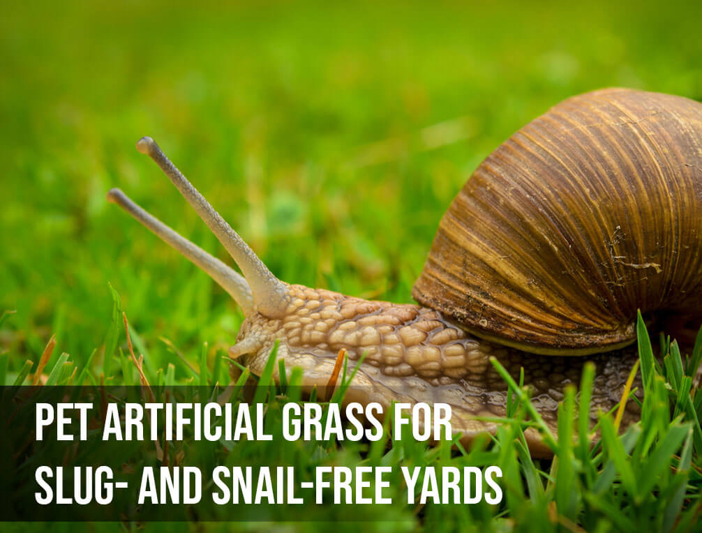 Pet Artificial Grass for Slug- and Snail-Free Yards
