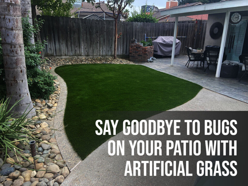 Say Goodbye to Bugs on Your Patio with Artificial Grass - santacruz